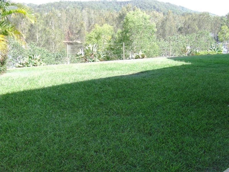 8 Nyoka Court, Elanora QLD 4221