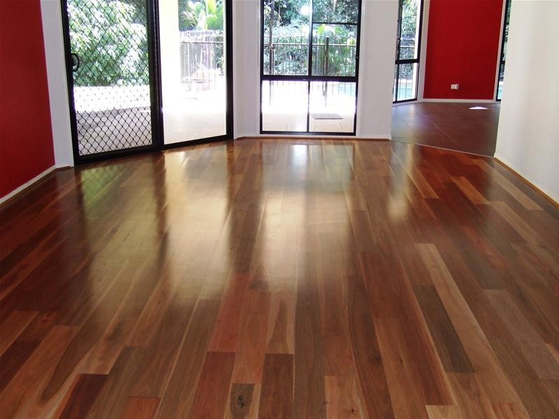 15 Breynia Court, Elanora QLD 4221