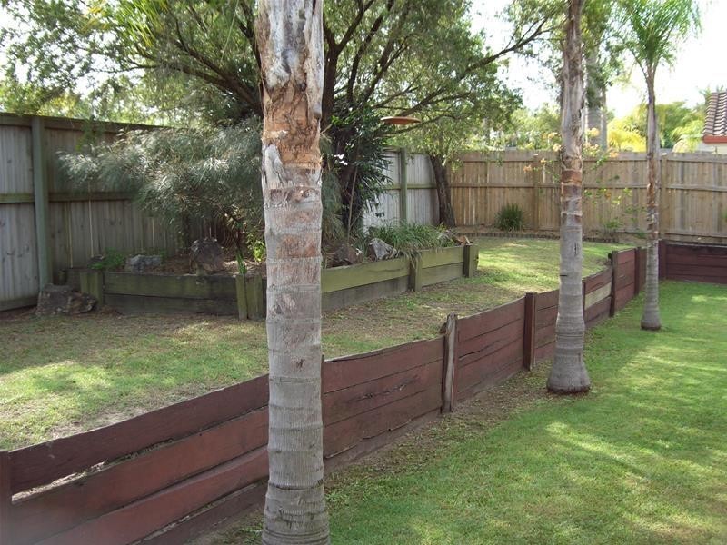 61 Avocado Street, Elanora QLD 4221