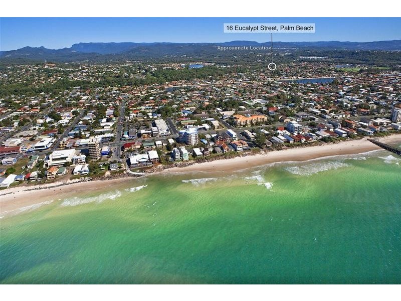 16 Eucalypt Street, Palm Beach QLD 4221