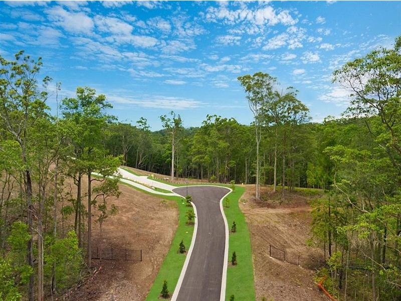 19 Mary Bale Drive, Tallebudgera QLD 4228