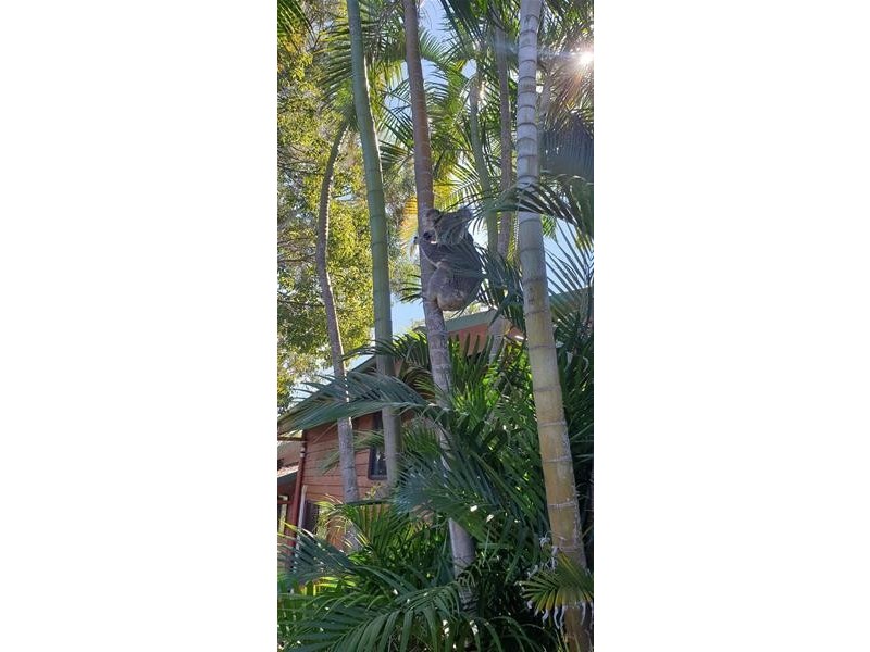 5 Doubleview Drive, Elanora QLD 4221