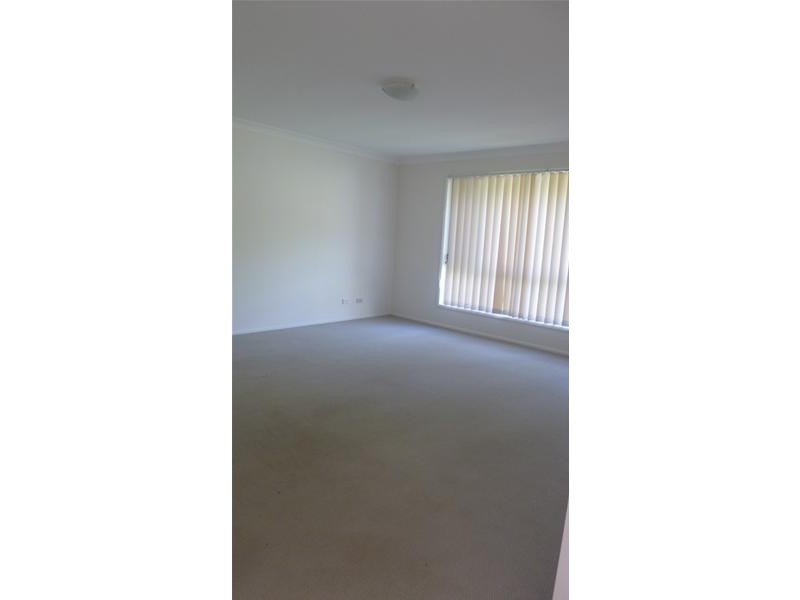 41 Hibertia Avenue, Elanora QLD 4221