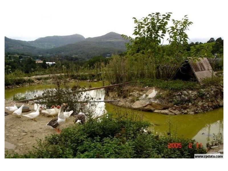 870 Tallebudgera Creek Road, Tallebudgera Valley QLD 4228