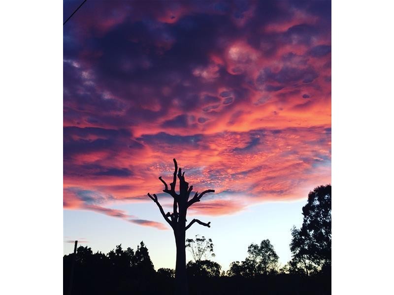 47 Goolabah Drive, Tallebudgera QLD 4228