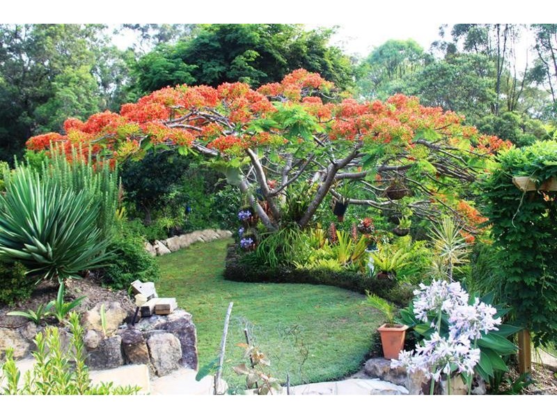 123 Simpsons Road, Elanora QLD 4221