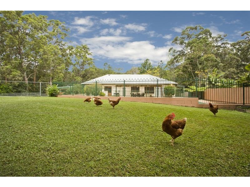 4 Jedda Street, Tallebudgera QLD 4228