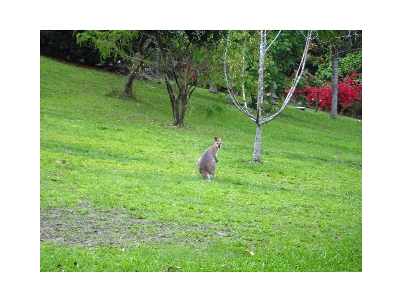 32 Bradman Drive, Currumbin Valley QLD 4223