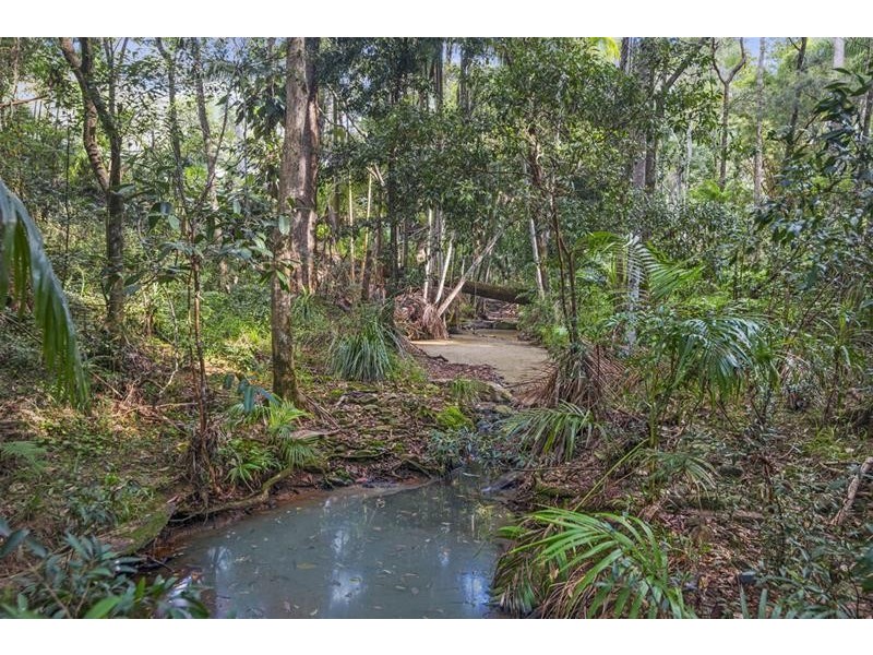 294 Trees Road, Tallebudgera QLD 4228