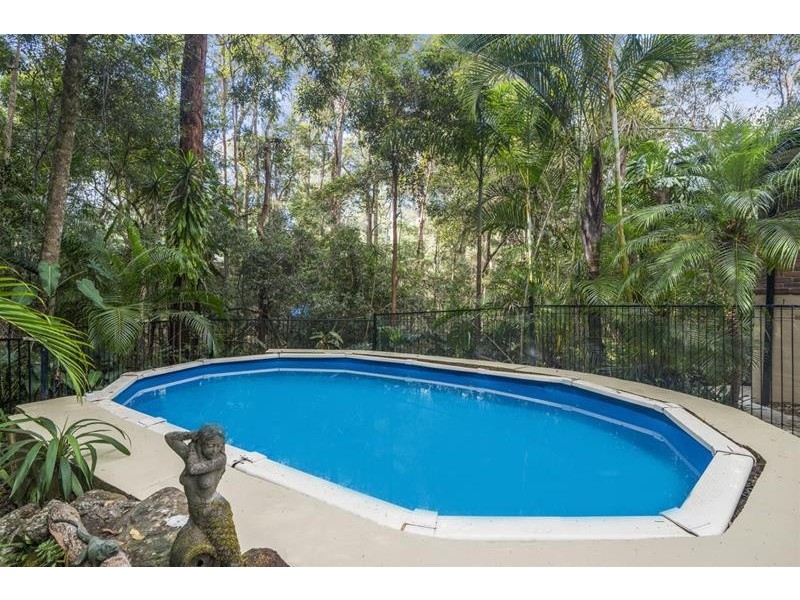 294 Trees Road, Tallebudgera QLD 4228