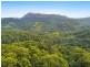 848 Tomewin Mountain Road, Currumbin Valley QLD 4223