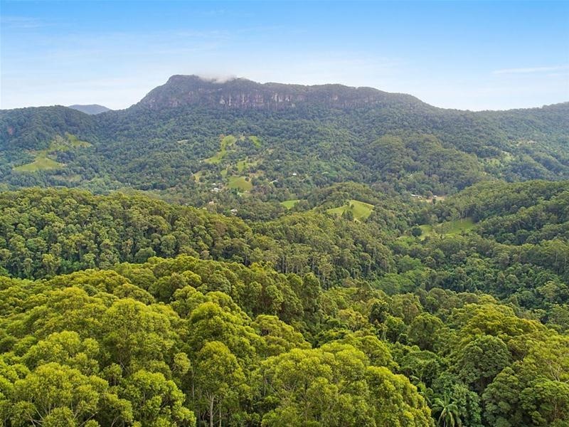848 Tomewin Mountain Road, Currumbin Valley QLD 4223