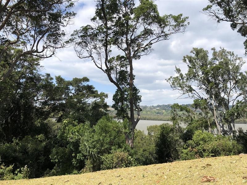 17 Daintree Close, Banora Point NSW 2486