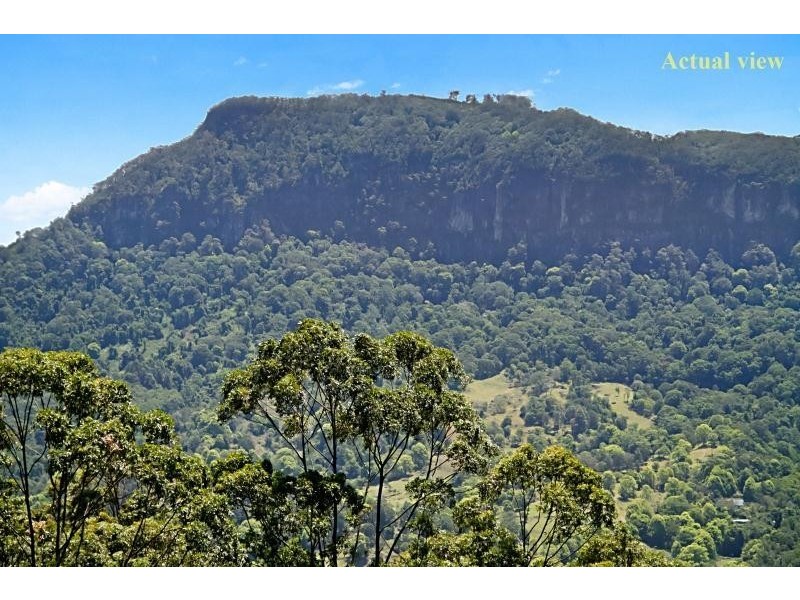 848 Tomewin Mountain Road, Currumbin Valley QLD 4223