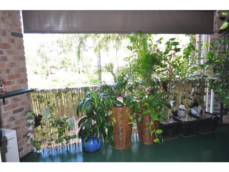 6/5 Rolan Court, Palm Beach QLD 4221