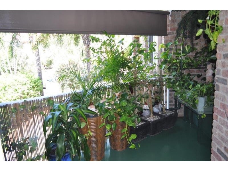 6/5 Rolan Court, Palm Beach QLD 4221