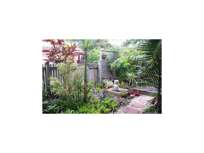 2/132 Cypress Terrace, Palm Beach QLD 4221