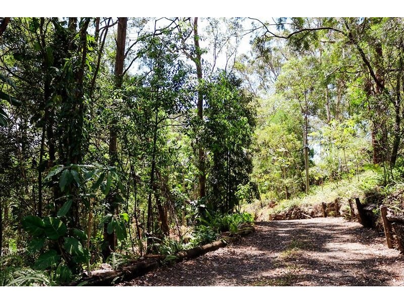 4 Cheshire Grove, Elanora QLD 4221