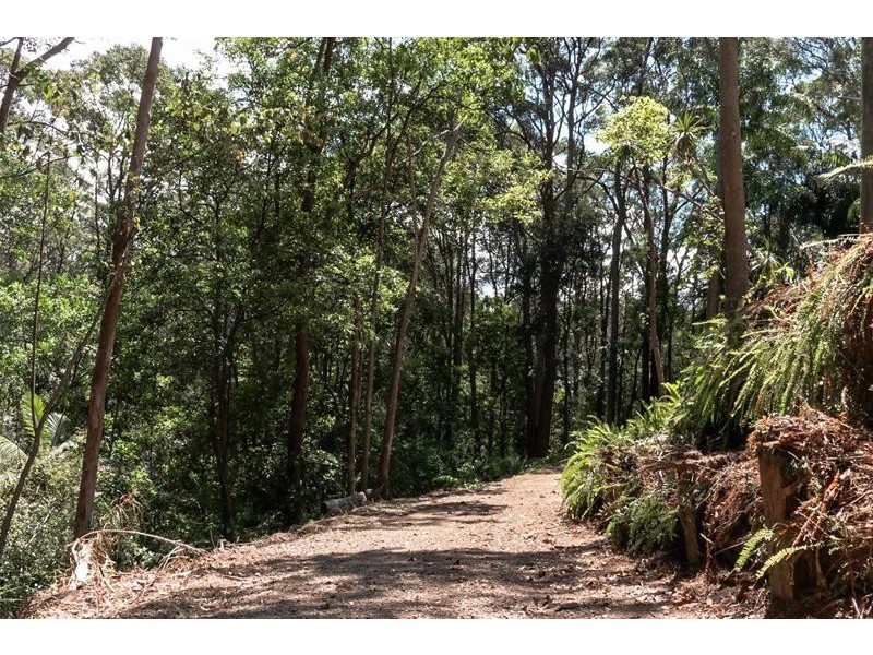 4 Cheshire Grove, Elanora QLD 4221