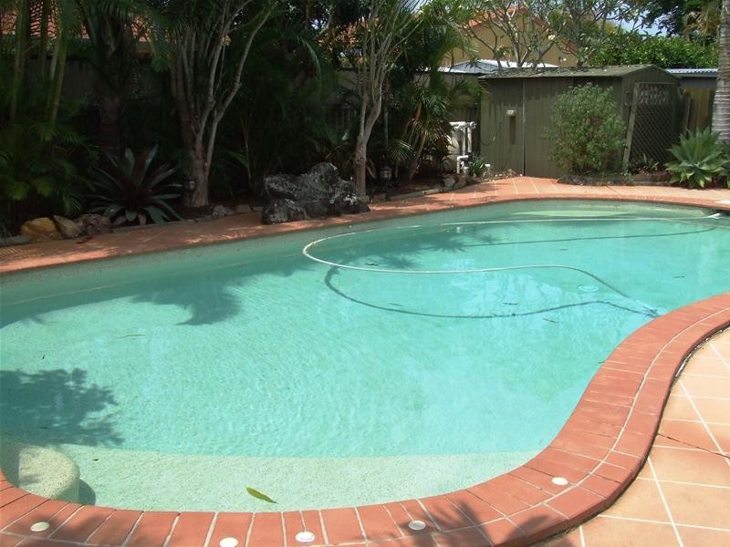 21 Japonica Drive, Palm Beach QLD 4221