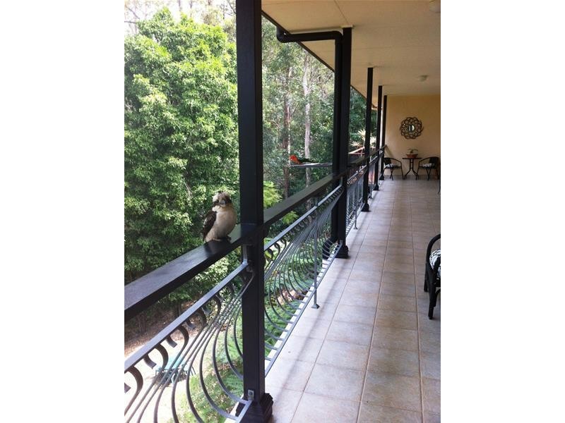 26 Wattlebird Court, Currumbin Valley QLD 4223