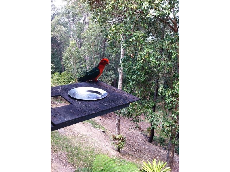 26 Wattlebird Court, Currumbin Valley QLD 4223