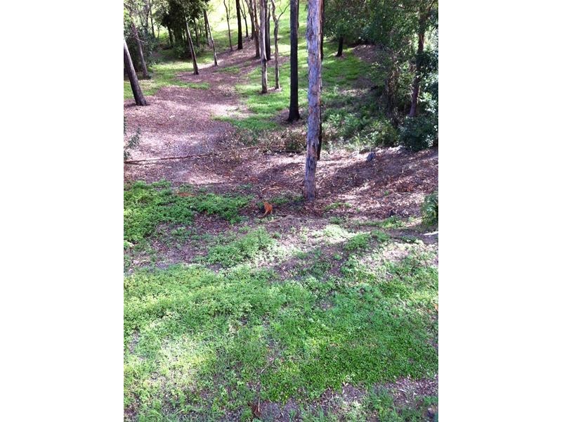 26 Wattlebird Court, Currumbin Valley QLD 4223