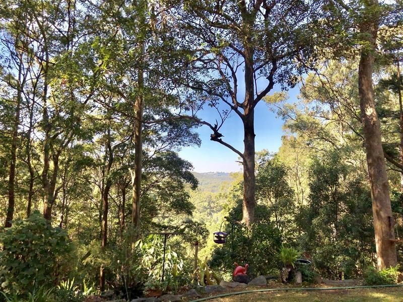 16 Evergreen Drive, Elanora QLD 4221