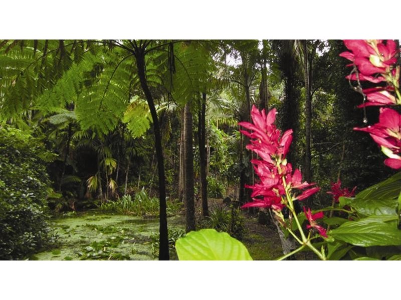 Currumbin Valley QLD 4223