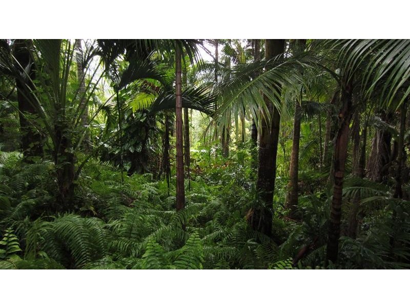 Currumbin Valley QLD 4223