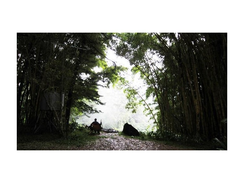 Currumbin Valley QLD 4223