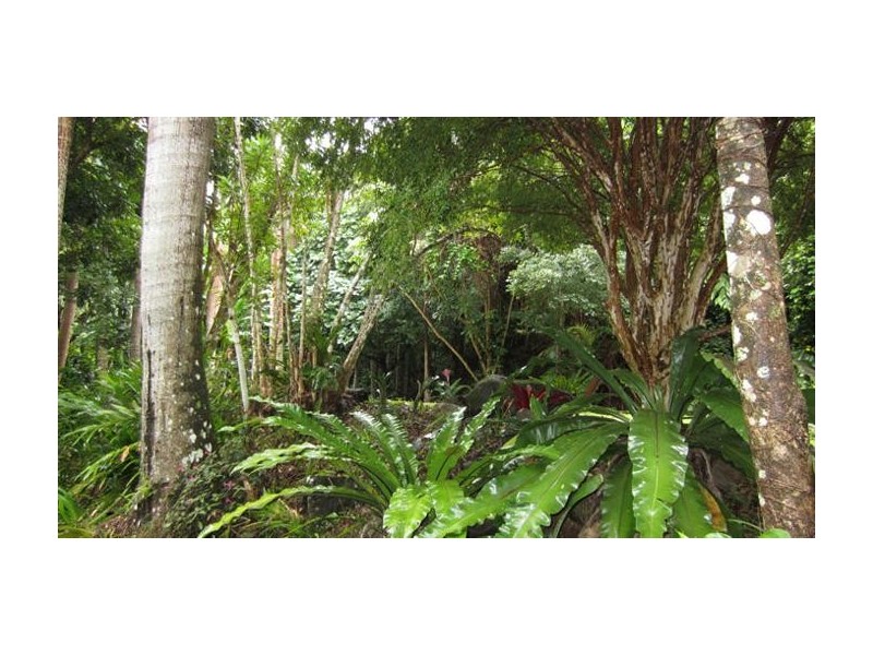 Currumbin Valley QLD 4223