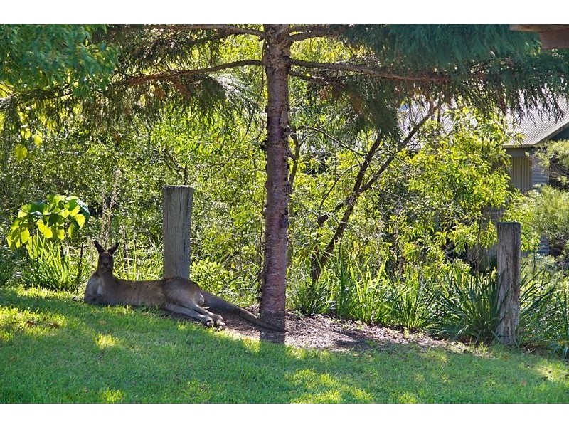 20 Creek Way, Currumbin Valley QLD 4223