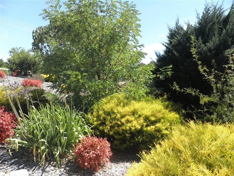 11 Charles Street, Springton SA 5235