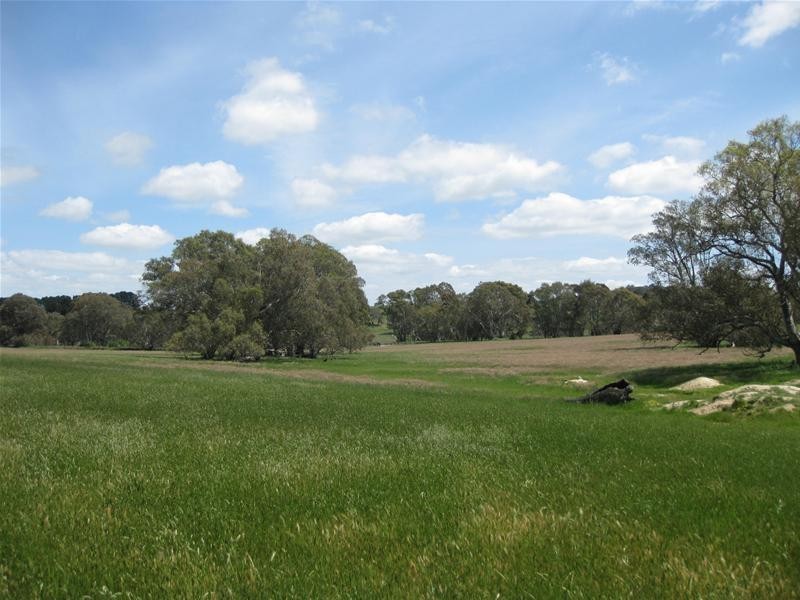 Lot 100 Torrens Valley Road, Birdwood SA 5234