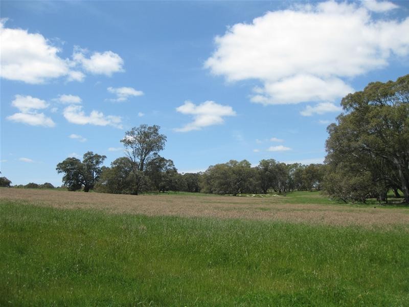 Lot 100 Torrens Valley Road, Birdwood SA 5234