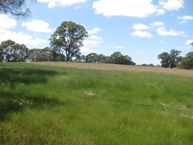 Lot 100 Torrens Valley Road, Birdwood SA 5234