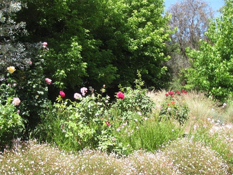 19 Olivedale Street, Birdwood SA 5234