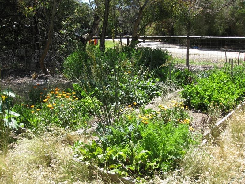 19 Olivedale Street, Birdwood SA 5234