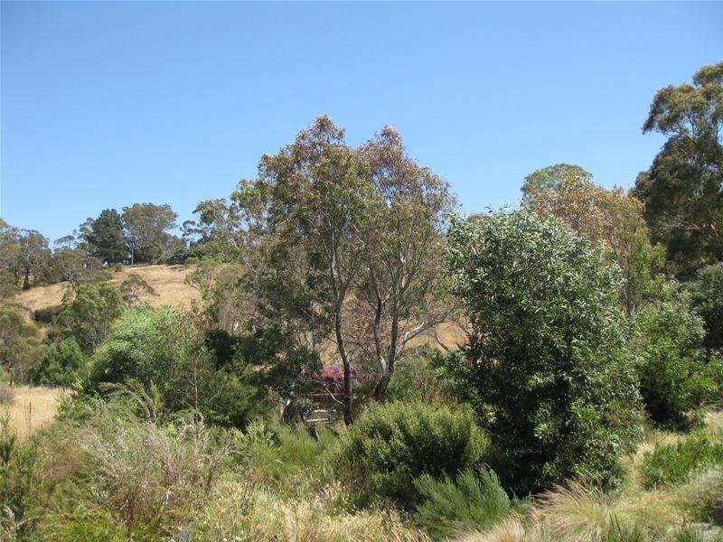 19 Olivedale Street, Birdwood SA 5234