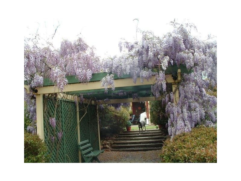 22 Meshach Burge Terrace, Lyndoch SA 5351