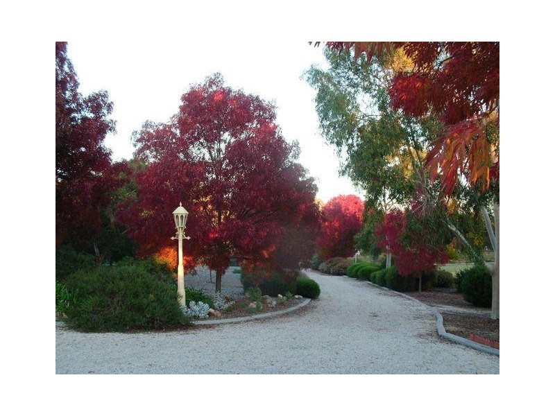 22 Meshach Burge Terrace, Lyndoch SA 5351