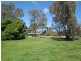 Lot 100, Lot 100 Miller Street, Springton SA 5235