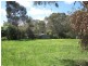 Lot 100, Lot 100 Miller Street, Springton SA 5235