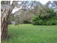 Lot 100, Lot 100 Miller Street, Springton SA 5235