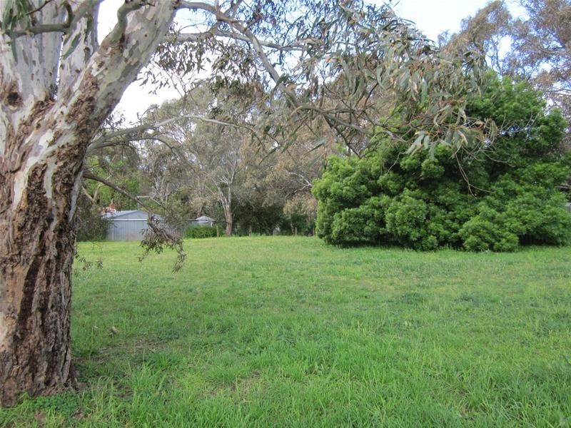 Lot 100, Lot 100 Miller Street, Springton SA 5235