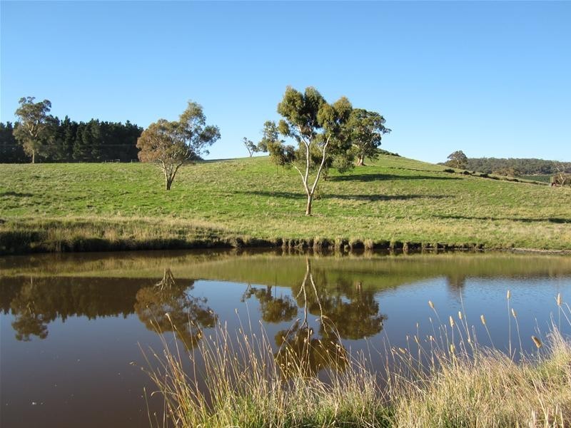 Lot 6 Springton Road, Williamstown SA 5351
