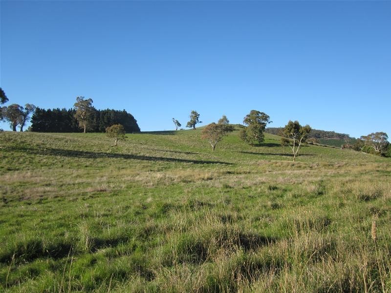 Lot 6 Springton Road, Williamstown SA 5351