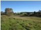 Lot 6 Springton Road, Williamstown SA 5351
