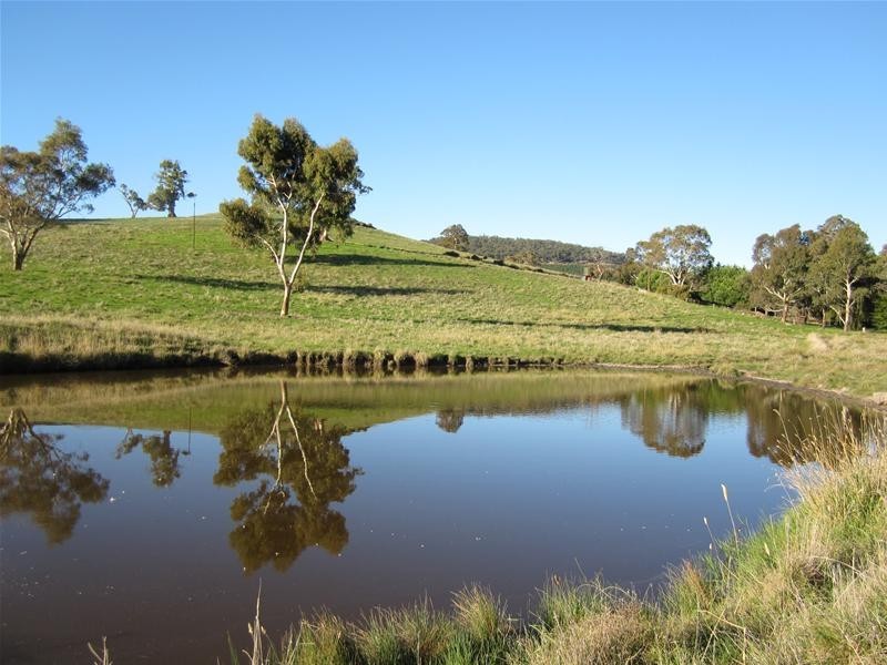 Lot 6 Springton Road, Williamstown SA 5351